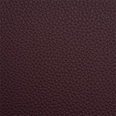 Pelle-M31---5460